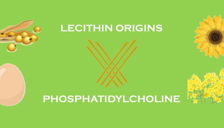 Lecithin Origins