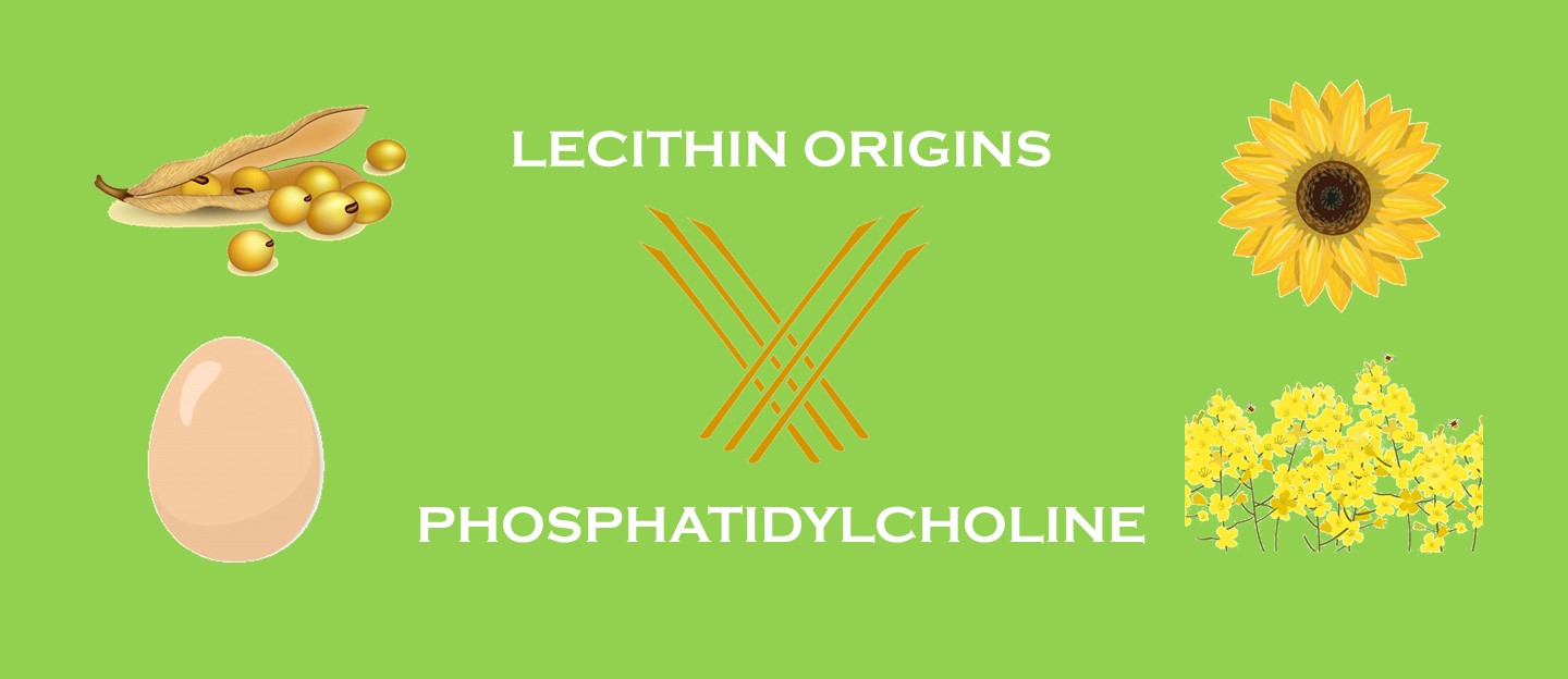 Lecithin Origins
