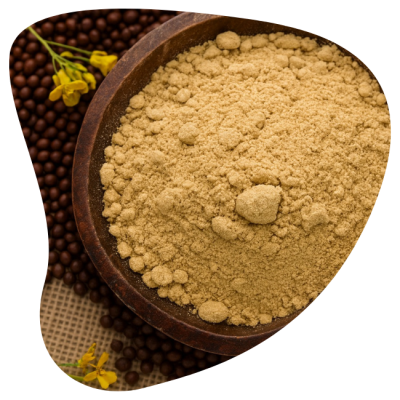 Canola Lecithin Powder (Food Grade)